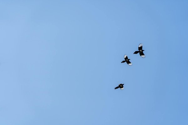 Les secrets des soins sans parfums pour sublimer votre beauté