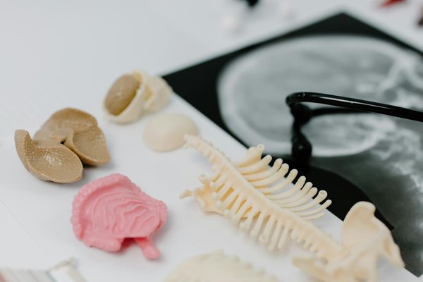 Le monde de la pharmacie hospitalière